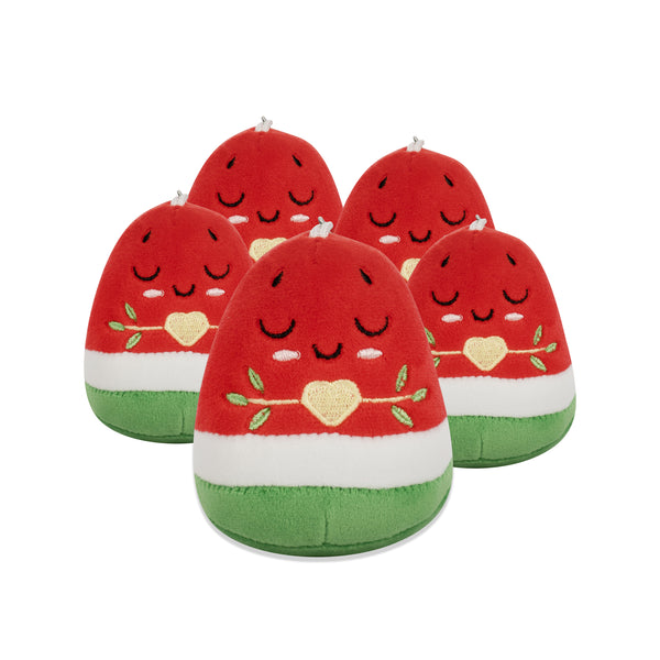 Watermelon Keyring Bundle - Soft and Adorable Fruit Plush [5 Keyrings]